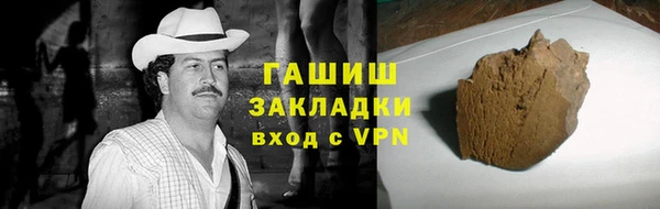 гашик Алексин
