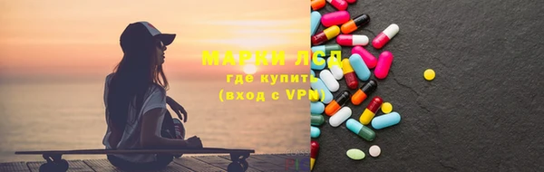 гашик Алексин