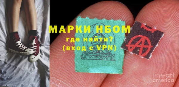 гашик Алексин