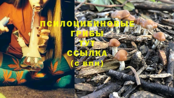 мет Алзамай