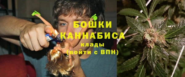 гашик Алексин