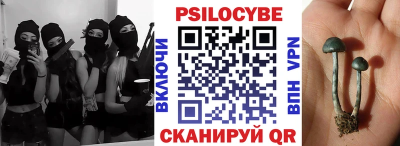 shop наркотические препараты  продажа наркотиков  Ипатово  Псилоцибиновые грибы Psilocybine cubensis 